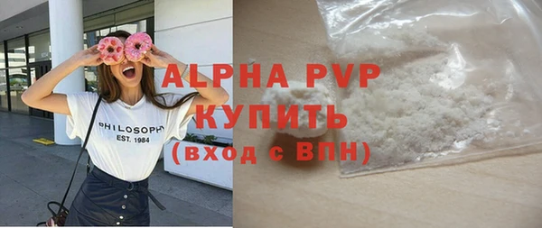 спиды Богданович