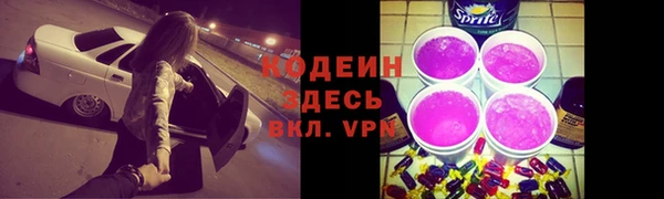 спиды Богданович