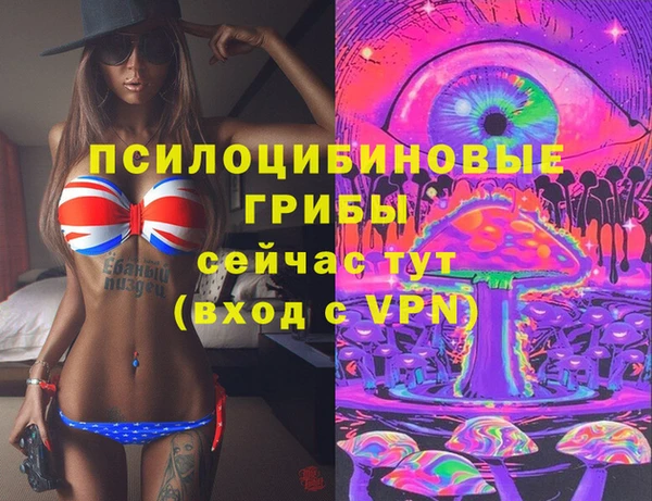 спиды Богданович