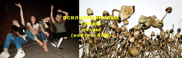 бутират Богородск