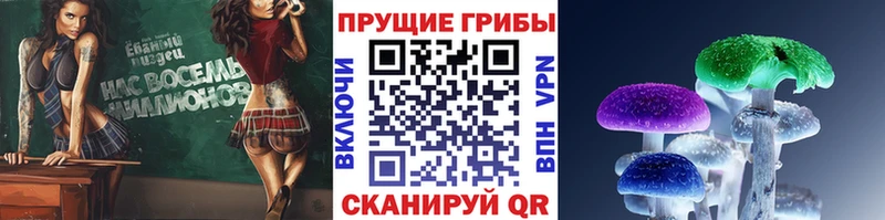 Галлюциногенные грибы Psilocybe  наркотики  Коломна 
